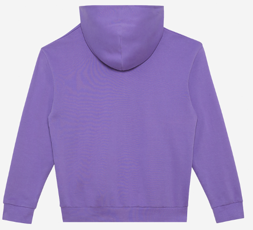 Premium Hoodie - Go Dukes